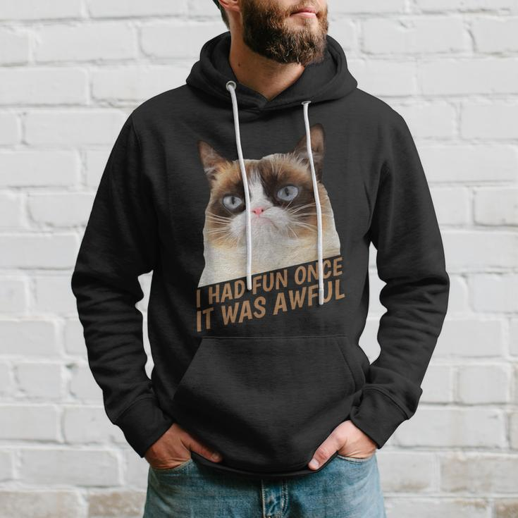 I Had Fun Once It Was Awful-Grumpy Cat-Face Hoodie Gifts for Him