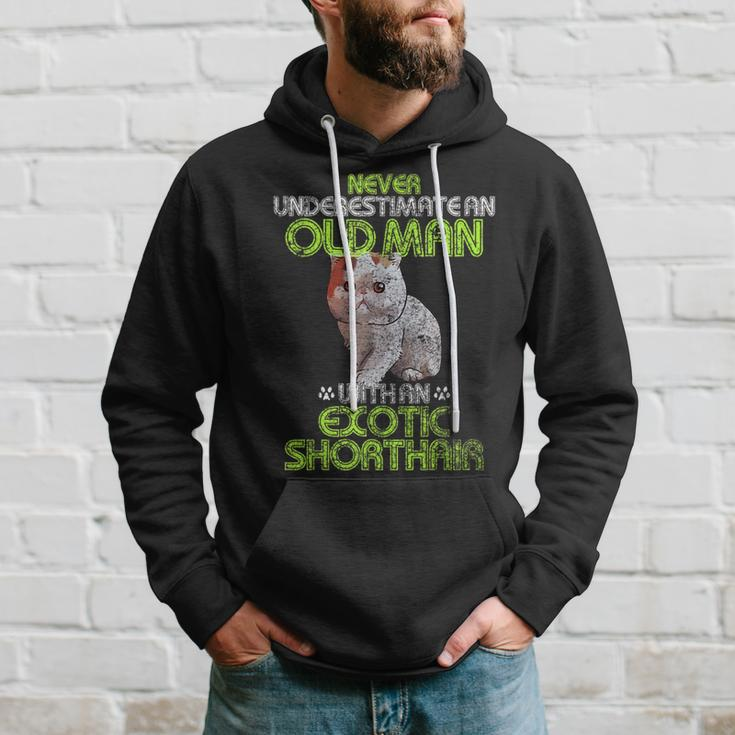 Never Underestimate An Old Man With An Exotic Shorthair Gift Hoodie Gifts for Him