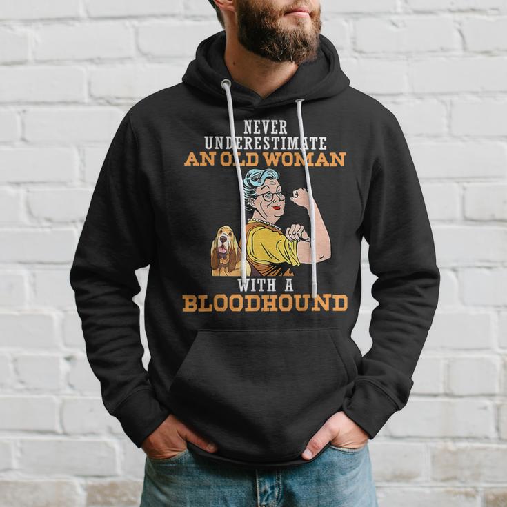 Bloodhound hoodie 2025