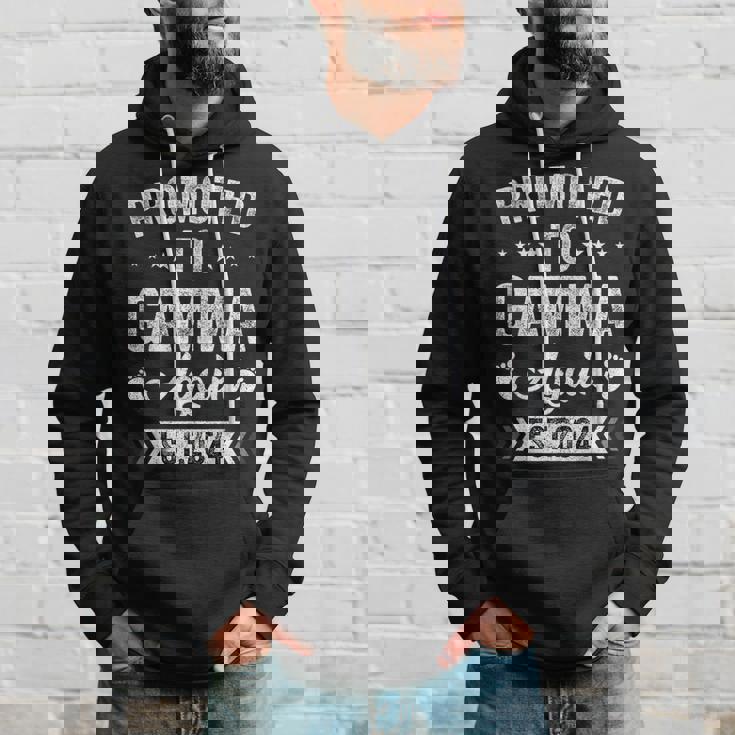 Promoted To Gamma Again Est 2024 Announcement Hoodie Gifts for Him