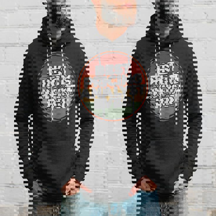 Vintage Best Pricing Analyst Ever Hoodie Gifts for Him