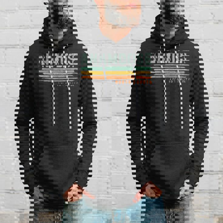 Vintage Stripes Anamoose Nd Hoodie Gifts for Him Vintage Stripes Anamoose Nd Hoodie Gifts for Him