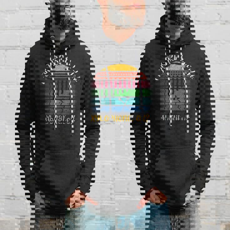 Vintage Xylophone Lover I Just Really Like Xylophone Ok Hoodie Gifts for Him