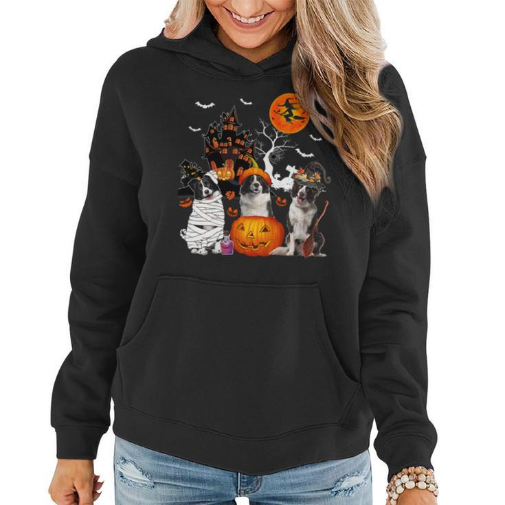 Dog Border Collie Three Border Collies Halloween Mummy Scary Witch Lover Owner Women Hoodie