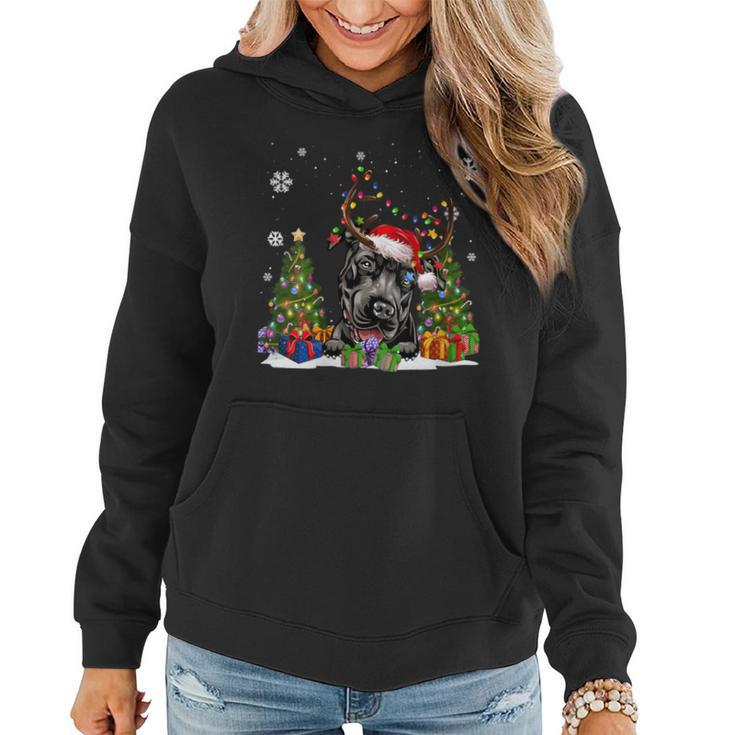 Dog Lovers Cute Pitbull Santa Hat Ugly Christmas Sweater Women Hoodie