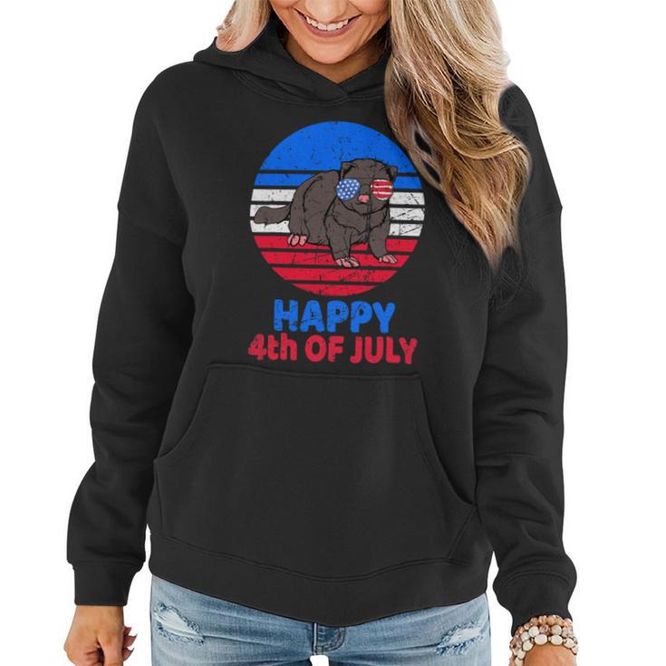 Ferret 4Th Of July For Ferret Lover Retro July 4Th Women Hoodie