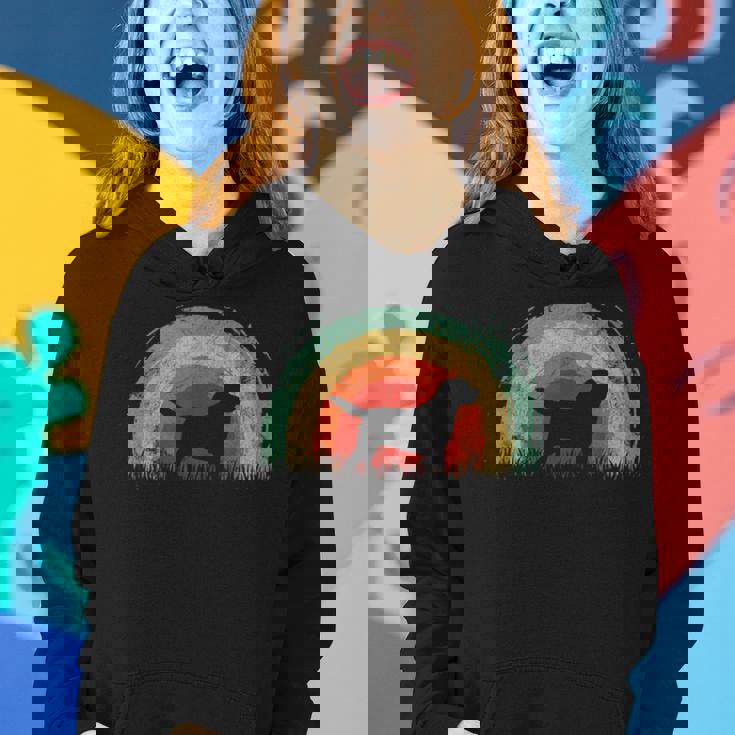 Retro Cavador Vintage Rainbow Dog Women Women Hoodie Gifts for Her Retro Cavador Vintage Rainbow Dog Women Women Hoodie Gifts for Her