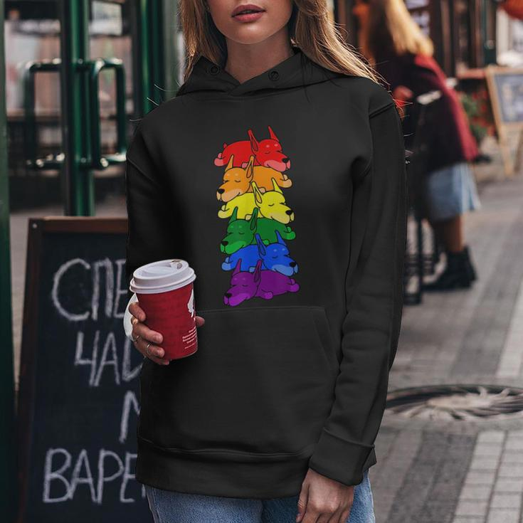 Cute Rainbow Doberman Gay Pride Lgbt Puppy Lover Women Hoodie Unique Gifts