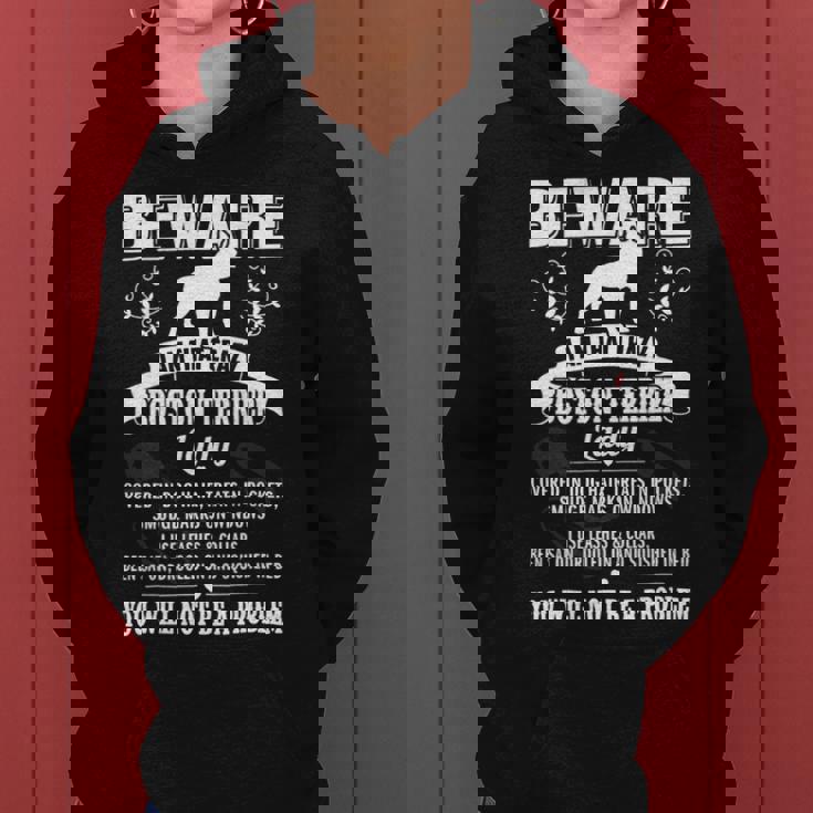 Dog Boston Terrier Beware Crazy Boston Terrier Dog Lady Funny Puppy Lover Women Hoodie