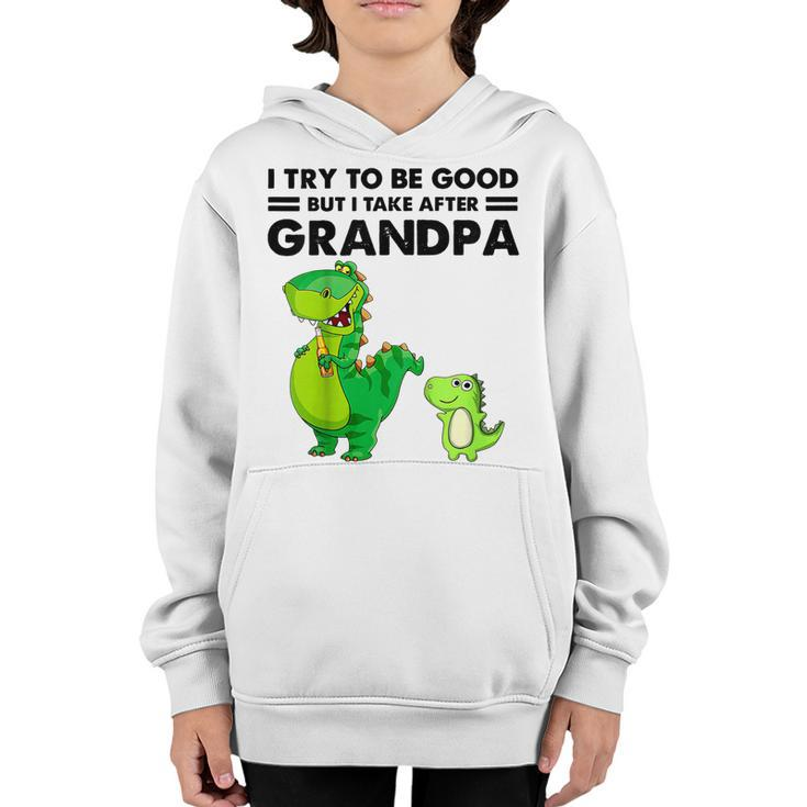 Kids I Try To Be Good But I Take After Grandpa  Youth Hoodie