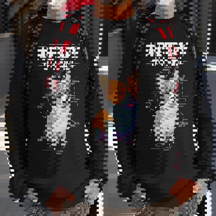 Anatomy Of A Corgi Cute Corgis Costume Corgi Lovers Corgis Sweatshirt Gifts for Old Men