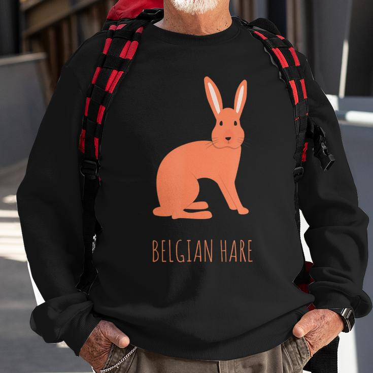 Belgian Hare Rabbit Stone Rabbits Bun Bunny Sweatshirt Gifts for Old Men