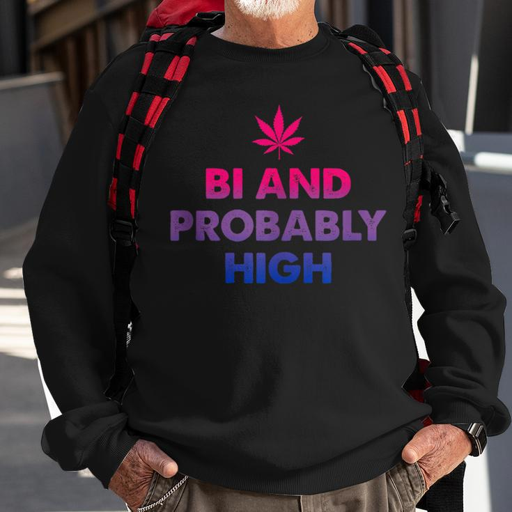 Bi And Probably High Bisexual Flag Pot Weed Marijuana Sweatshirt Gifts for Old Men
