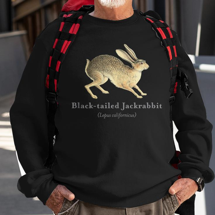 Black-Tailed Jackrabbit Portrait With Scientific Name Sweatshirt Gifts for Old Men