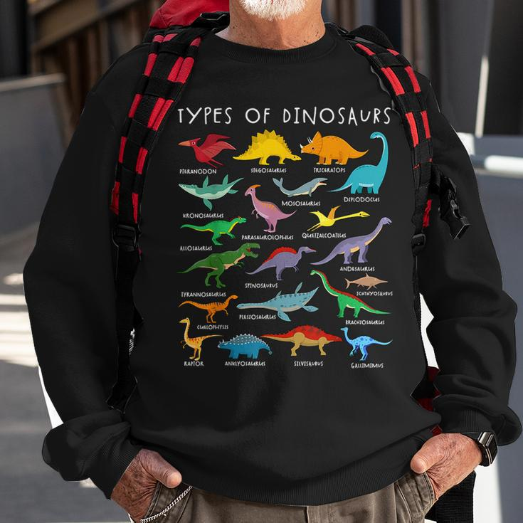 Dinosaur Lover Types Of Dinosaurs Different Dinosaurs Sweatshirt Gifts for Old Men