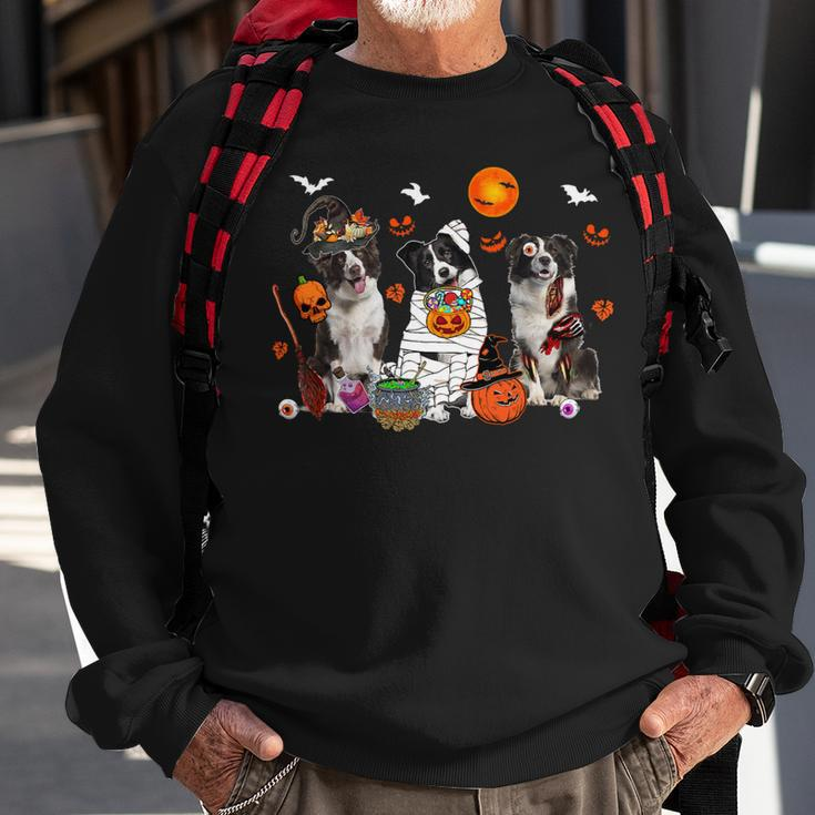 Dog Border Collie Three Border Collie Dogs Witch Scary Mummy Halloween Zombie Sweatshirt Gifts for Old Men