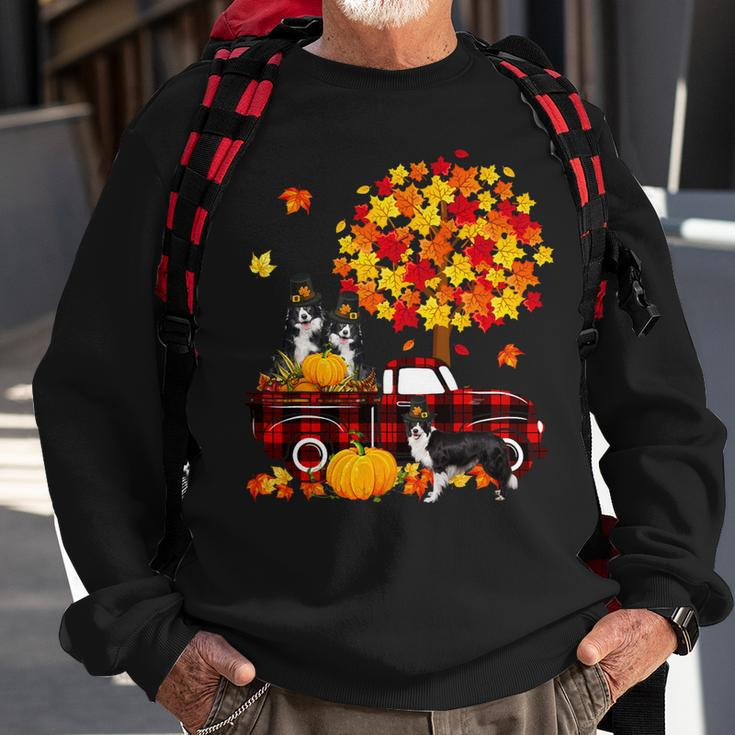 Dog Border Collie Three Border Collies On Pickup Truck Thanksgiving Fall Tree Sweatshirt Gifts for Old Men