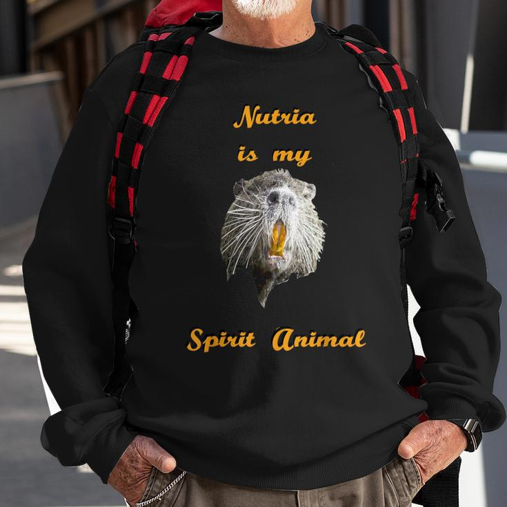 Cajun Louisiana Nutria Rat Spirit Animal Sweatshirt Gifts for Old Men