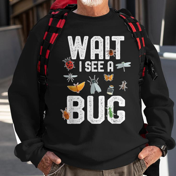 Entomologist Sayings Wait I See A Bug Entomology Sweatshirt Gifts for Old Men