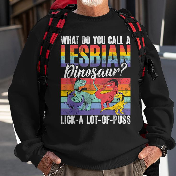 Funny Lesbian Dinosaur Joke Lesbian Sweatshirt Gifts for Old Men