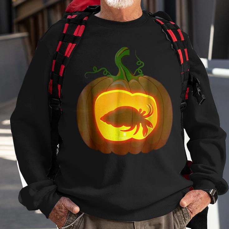 Hermit Crab Halloween Gifts For Hermit Crab Lovers Funny Gifts Sweatshirt Gifts for Old Men