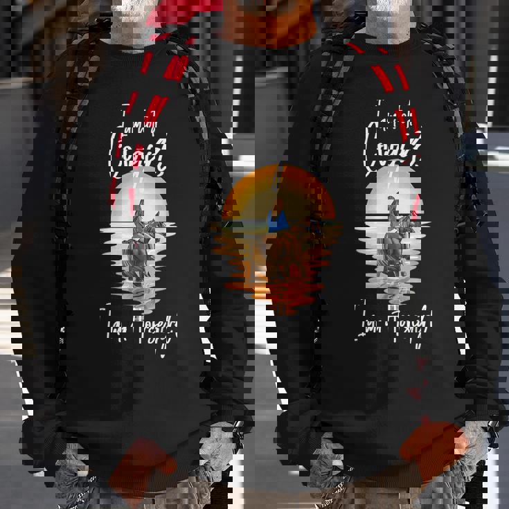 I Am Not A Cowgirl I Am A Horsegirl Horse Equestrians Sweatshirt Gifts for Old Men