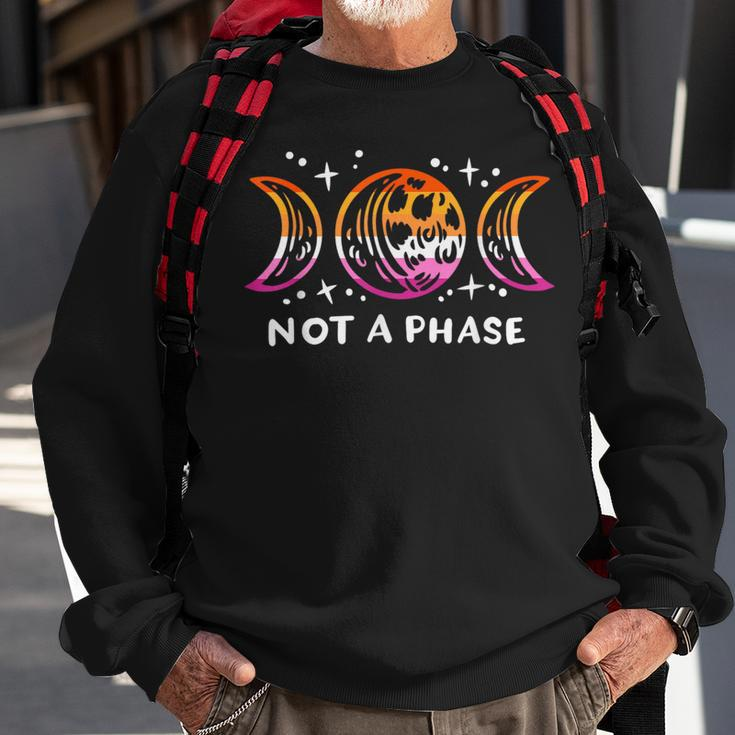 Lesbian Pride Funny Not A Phase Lunar Moon Lgbt Gender Queer Sweatshirt Gifts for Old Men