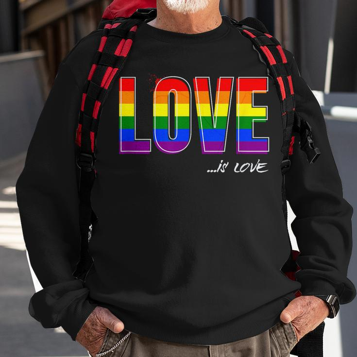 Love Is Love Lgbt Gay Lesbian Pride Colors Lgbtq Ally Sweatshirt Gifts for Old Men