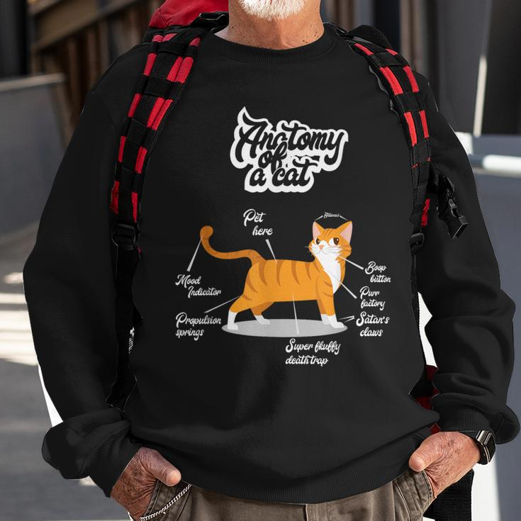Orange Tabby Cat Anatomy Of A Cat Cute Present Sweatshirt Gifts for Old Men
