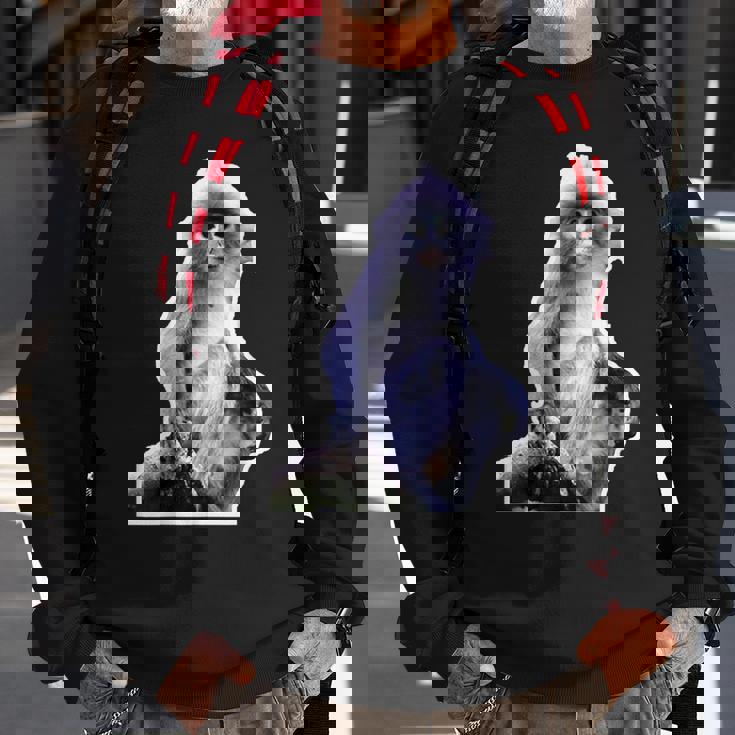 Popa Langur Lovers Sweatshirt Gifts for Old Men