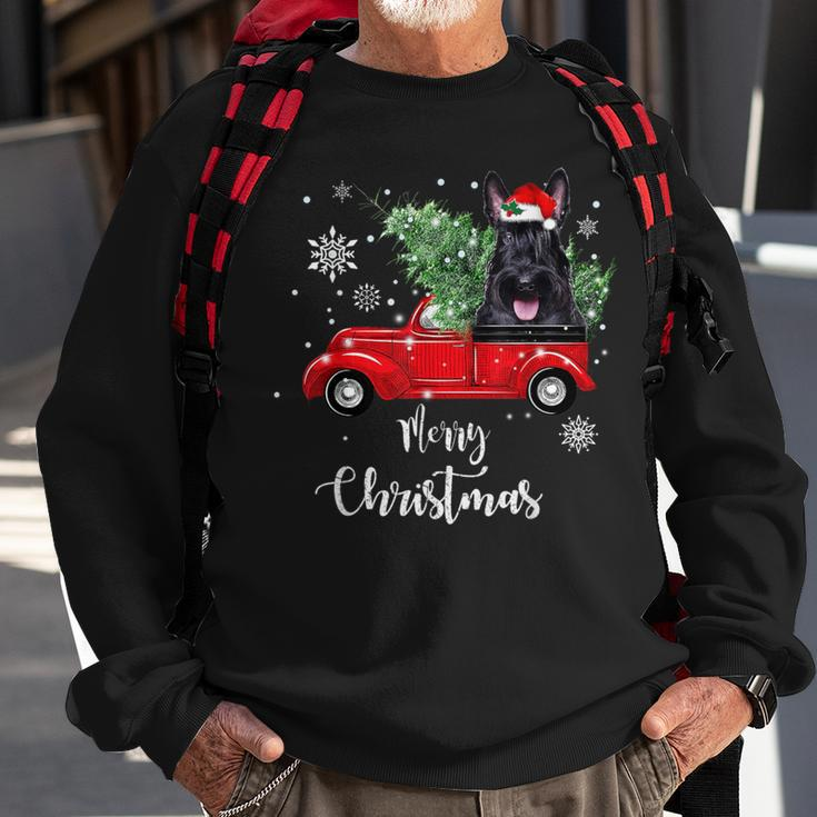 Scottish Terrier Ride Red Truck Christmas Pajama Sweatshirt Gifts for Old Men