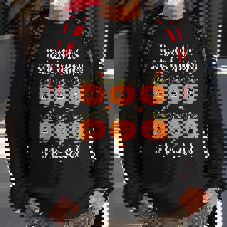 I Teach The Cutest Pumpkins In The Patch My Pumpkin Class Pumpkin Sweatshirt Gifts for Old Men