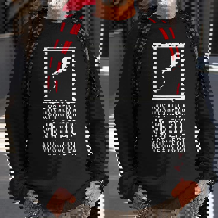 This Is A Very Old Photo Of Me Sperm Image Italian Words Sweatshirt Gifts for Old Men
