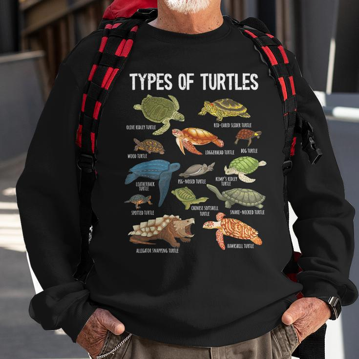 Turtle Lover Turtle Art Types Turtle Turtle Sweatshirt Gifts for Old Men