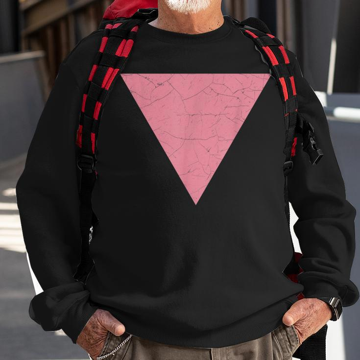Vintage Gay Pride Pink Triangle Vintage Lgbt Flag Sweatshirt Gifts for Old Men