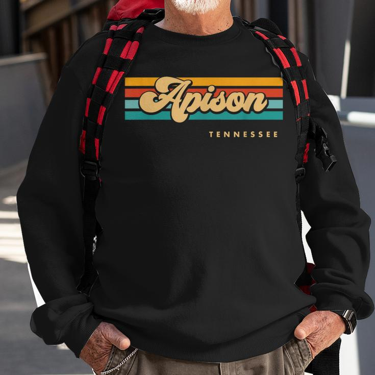 Vintage Sunset Stripes Apison Tennessee Sweatshirt Gifts for Old Men