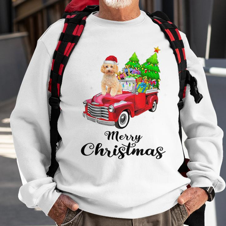 Poodle Ride Red Truck Christmas Pajama Sweatshirt Gifts for Old Men