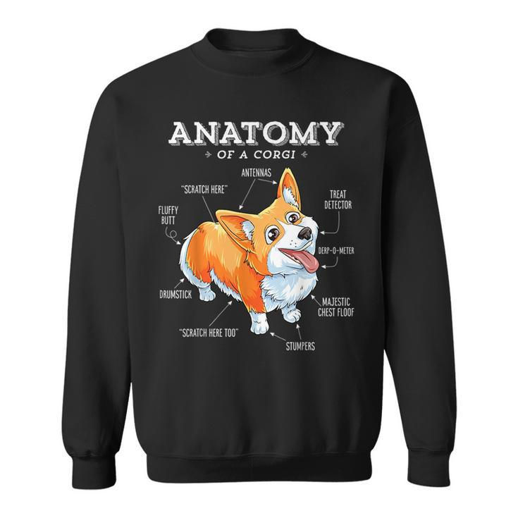Anatomy Of A Corgi  Funny Corgis Dog Puppy    Sweatshirt