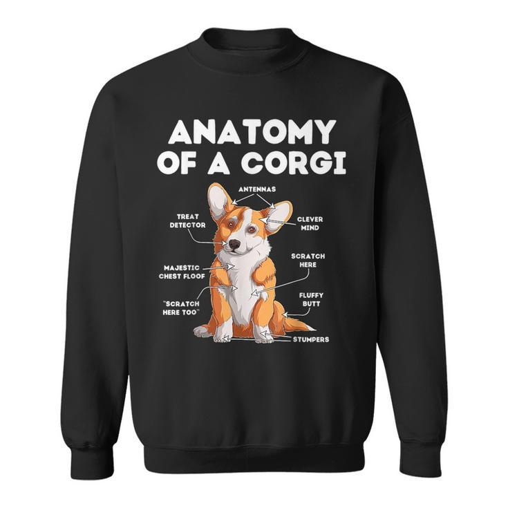 Anatomy Of A Corgi  Sweatshirt