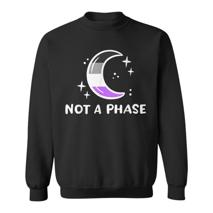 Asexual Pride Flag Funny Not A Phase Lunar Moon Ace Lgbtq  Sweatshirt