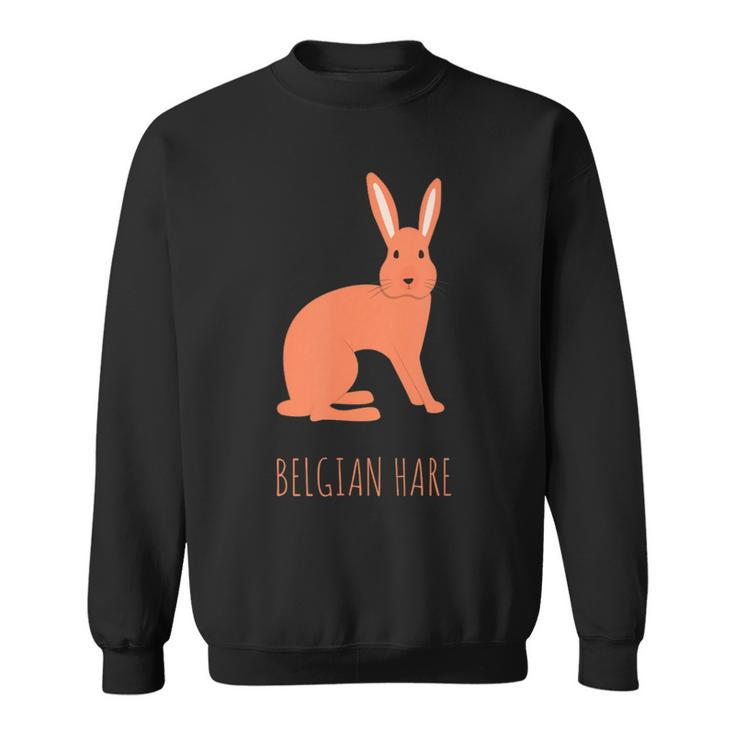 Belgian Hare Rabbit Stone Rabbits Bun Bunny Sweatshirt