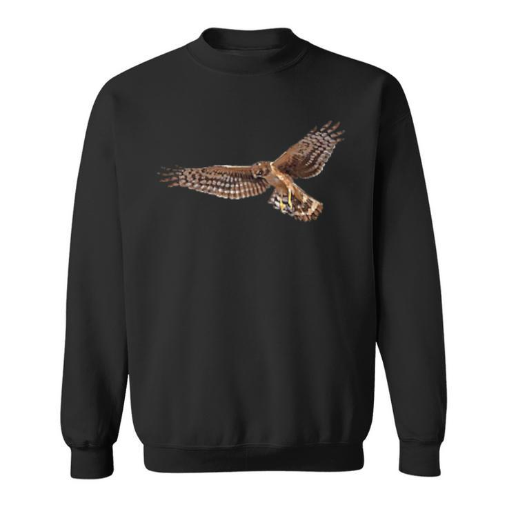 Birding Harrier Hawk Marsh Hawk Pocket-Style Emblem Sweatshirt