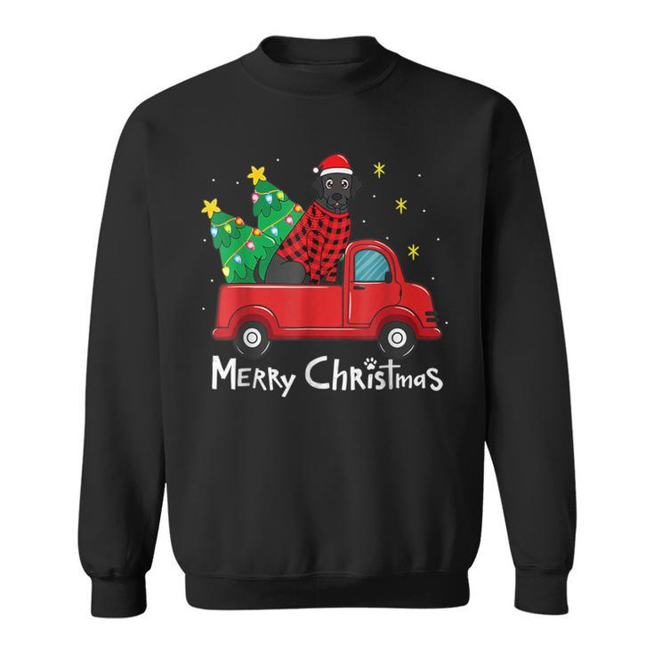 Black Labrador Christmas Truck Tree Red Plaid Dog Lab Xmas Sweatshirt