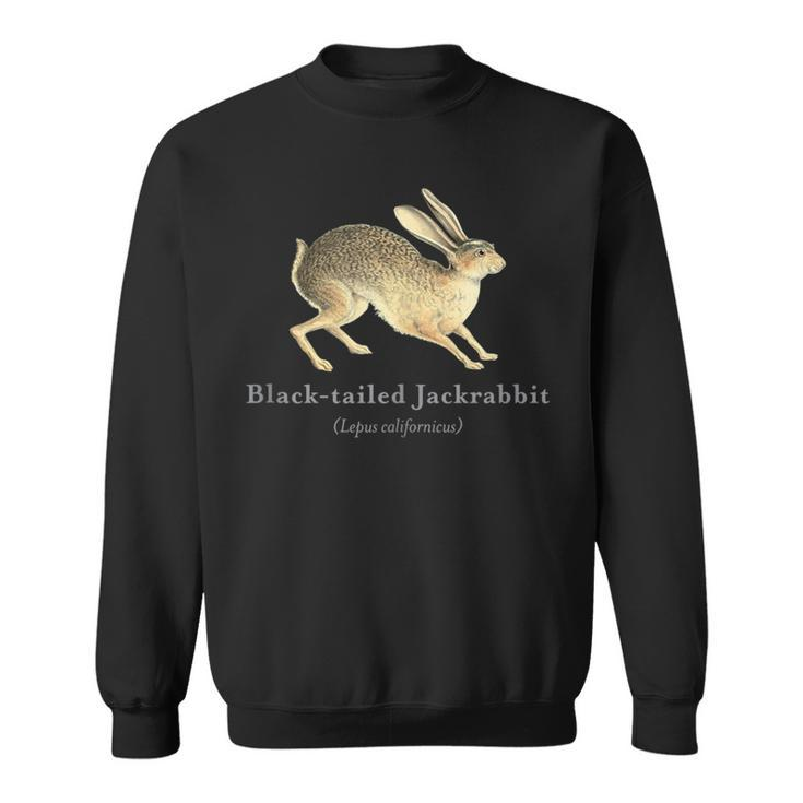 Black-Tailed Jackrabbit Portrait With Scientific Name Sweatshirt