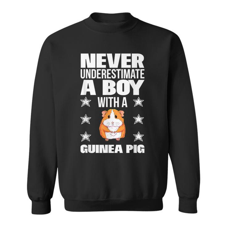 Boys Never Underestimate A Boy With A Guinea Pig Sweatshirt