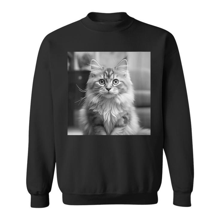 British Longhair Cat Cinematic Black And White Photography Sweatshirt