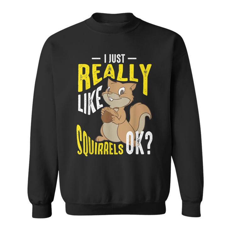 Cool I Just Really Like Squirrels Funny Chipmunk Keeper Gift Sweatshirt