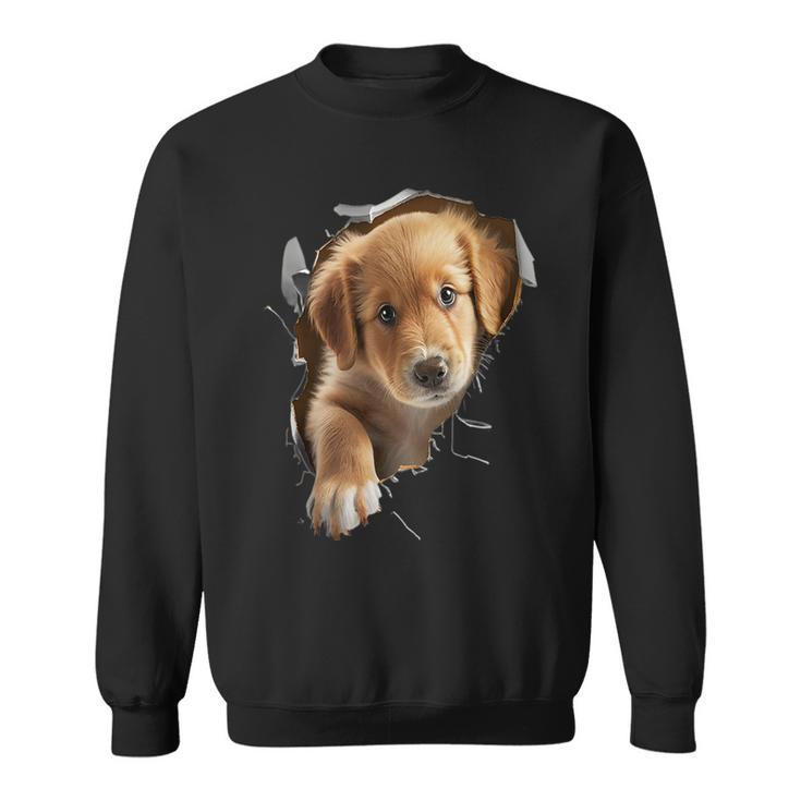 Cute Golden Retriever Puppy Dog Breaking Through  Sweatshirt