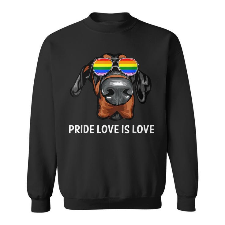 Cute Lgbt Pride Love Is Love Doberman Dog Puppy  Sweatshirt