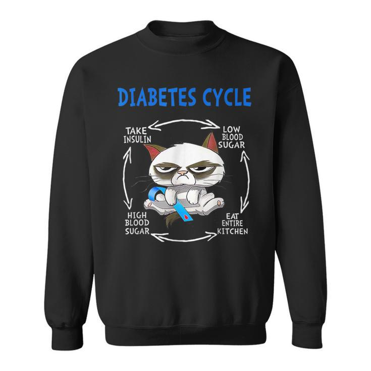 Diabetes Cycle Diabetes Awareness Cat Outfits Sweatshirt